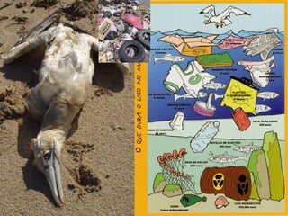 Condicionantes 
Descoñecemento dos procesos e custes reais. Moitos mitos. 
Pouca valoración da necesidade, causas e efectos. 
Pouca conciencia cívica básica. 
 