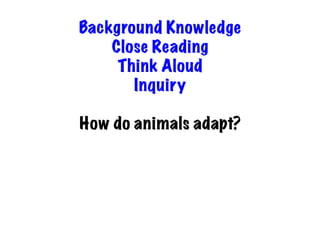 Background Knowledge
Close Reading
Think Aloud
Inquiry
How do animals adapt?

 