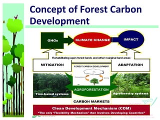 Climate Change Mitigation and Adaptation: The Case of the Ikalahan ...