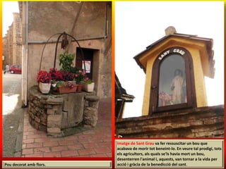 Pou decorat amb flors.
Imatge de Sant Grau va fer ressuscitar un bou que
acabava de morir tot beneint-lo. En veure tal prodigi, tots
els agricultors, als quals se'ls havia mort un bou,
desenterren l'animal i, aquests, van tornar a la vida per
acció i gràcia de la benedicció del sant.
 