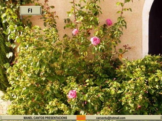 MANEL CANTOS PRESENTACIONS canventu@hotmail.com
FI
 