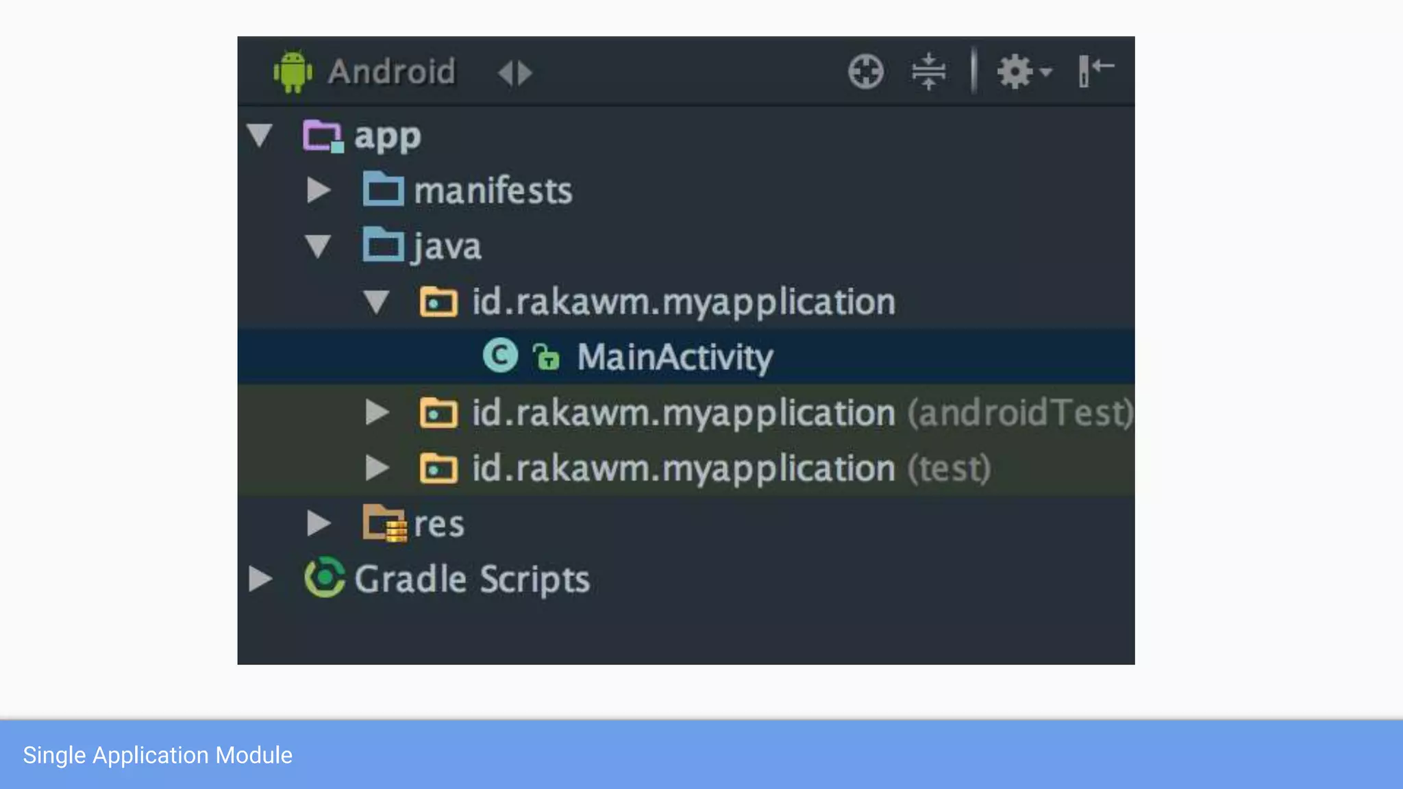 Single Application Module
 