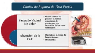 Diagnóstico
 Puede ser identificada por ultrasonido
transvaginal en un 99% realizado en las 18-20
semanas de gestación
 ...