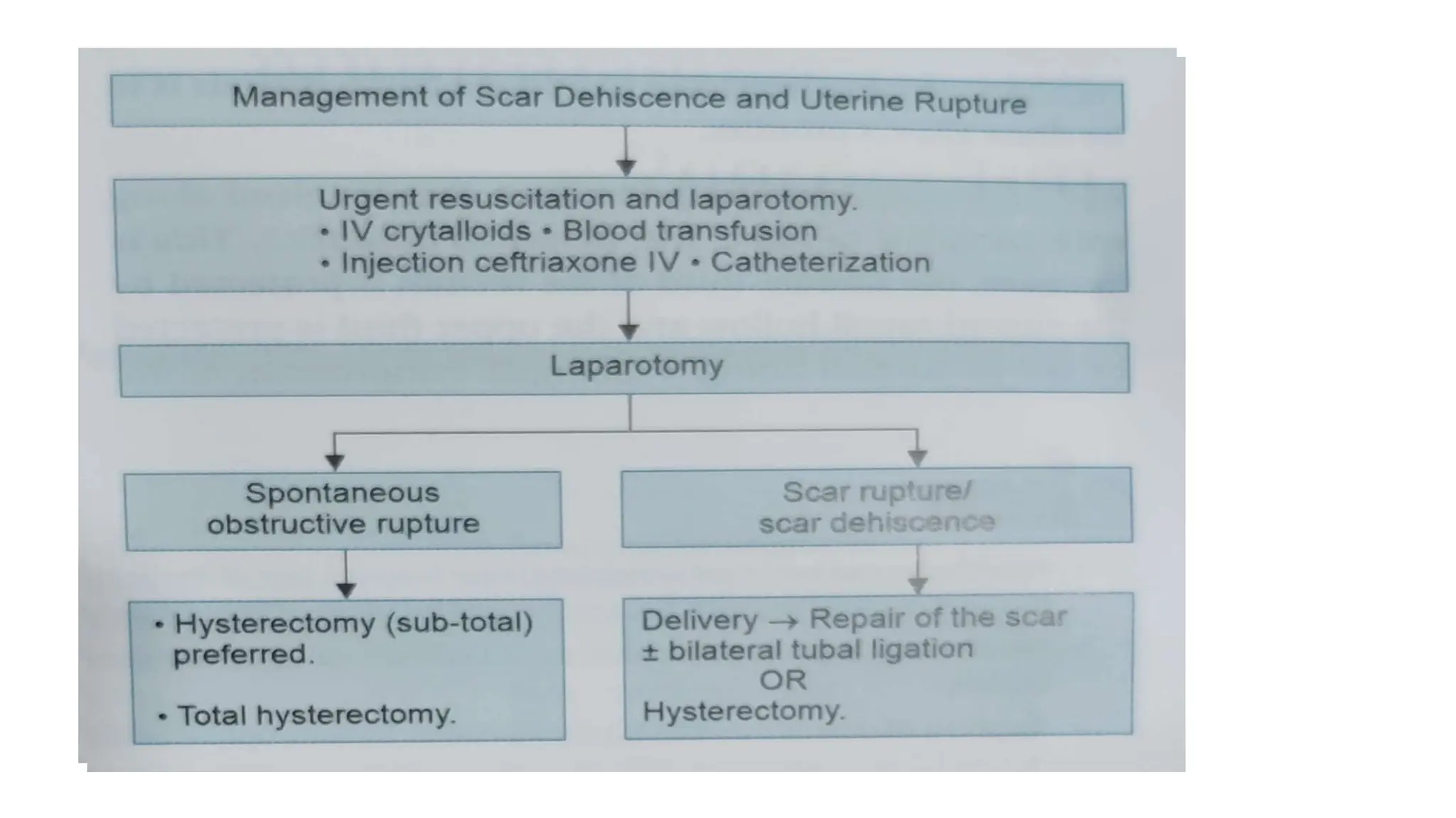 Innominate Rupture Management Rupture of uterus gynaecology presentation | PPTX