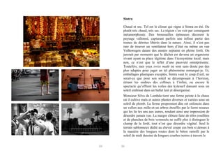 Sintra
Chaud et sec. Tel est le climat qui règne à Sintra en été. Ou
plutôt très chaud, très sec. La région s’en voit par conséquent
métamorphosée. Des broussailles épineuses décorent le
paysage vallonné, capturant parfois une infime partie des
tonnes de détritus libérés dans la nature. Ainsi, il n’est pas
rare de trouver un ventilateur hors d’état ou même un van
Volkswagen datant des années septante en pleine forêt. On
jurerait par moments que le déchet est devenu un organisme
vivant ayant sa place légitime dans l’écosystème local, mais
non, ce n’est que le reflet d’une pauvreté omniprésente.
Toutefois, mes yeux swiss made ne sont sans doute pas des
plus adaptés pour juger un tel phénomène remarqué-je. Et,
emballages plastiques exceptés, Sintra vaut le coup d’œil, ne
serait-ce que pour son soleil se décomposant à l’horizon,
étirant les ombres des collines à l’infini, ou encore le
spectacle qu’offrent les voiles des kytesurf dansant sous un
soleil embrasé dans un ballet lent et désorganisé.
Monsieur Silva da Lambda tient une ferme peinte à la chaux
où il cultive maïs et autres plantes diverses et variées sous un
soleil de plomb. La ferme proprement dite est enfoncée dans
un vallon aux mille-et-un arbres étouffés par le lierre noueux
qui les lie les uns aux autres, rendant ainsi une impression de
désordre jamais vue. La maigre clôture faite de tôles rouillées
et de planches de bois vermoulu ne suffit plus à distinguer le
champ de la forêt, tout n’est que désordre végétal. Seul le
terrain sablonneux dédié au cheval coupe ces bois si denses à
la manière des longues routes dont le béton ramolli par le
soleil de midi dessine de longues courbes noires à travers le
89

90

 