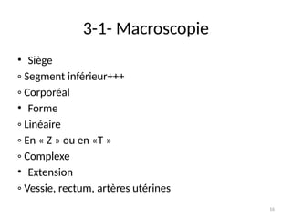 16
3-1- Macroscopie
• Siège
◦ Segment inférieur+++
◦ Corporéal
• Forme
◦ Linéaire
◦ En « Z » ou en «T »
◦ Complexe
• Extension
◦ Vessie, rectum, artères utérines
 