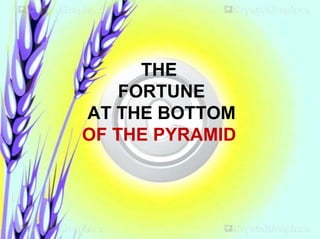 THE
FORTUNE
AT THE BOTTOM
OF THE PYRAMID
 