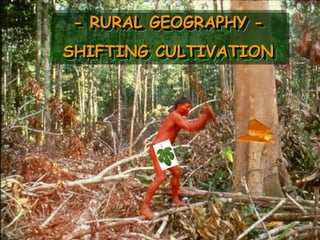 - RURAL GEOGRAPHY -
- RURAL GEOGRAPHY -
SHIFTING CULTIVATION
SHIFTING CULTIVATION


       Title
 