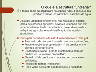 O que é a estrutura fundiária?
É a forma como se organizam no espaço rural, o conjunto dos
prédios rústicos, os caminhos, as linhas de água
 Assume um papel fundamental nos resultados obtidos
pelas explorações agrícolas, devido à influência que tem
no aproveitamento da mão-de-obra, no rendimento das
máquinas agrícolas e na diversificação das opções
produtivas.
 Principais deficiências da estrutura fundiária em Portugal:
 Área reduzida dos prédios rústicos e das explorações;
 Fragmentação da propriedade - nº de prédios muito
elevado por proprietário;
 Dispersão elevada - grande afastamento entre os
prédios de um mesmo proprietário;
 Elevado nº de prédios encravados ou com acesso
deficiente;
 Prédios de formas irregulares;
 Rede viária deficiente em densidade e qualidade.
 