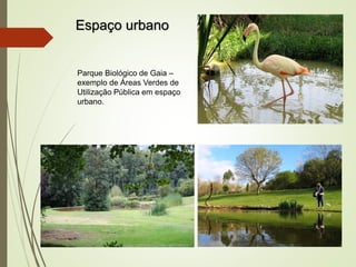 Espaço urbano
Parque Biológico de Gaia –
exemplo de Áreas Verdes de
Utilização Pública em espaço
urbano.
 
