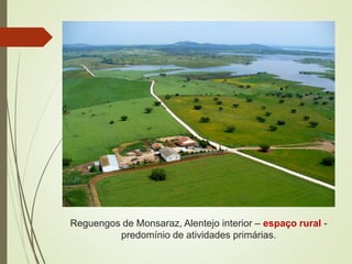 Reguengos de Monsaraz, Alentejo interior – espaço rural -
predomínio de atividades primárias.
 
