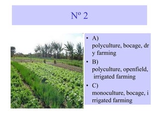 Nº 2
• A)
polyculture, bocage, dr
y farming
• B)
polyculture, openfield,
irrigated farming
• C)
monoculture, bocage, i
rrigated farming
 