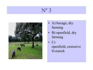 Nº 3
• A) bocage, dry
farming
• B) openfield, dry
farming
• C)
openfield, extensive
livestock
 