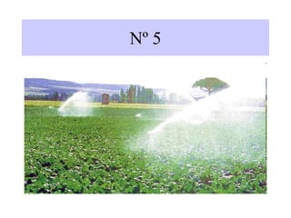 Nº 5
 