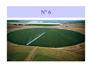 Nº 6
 