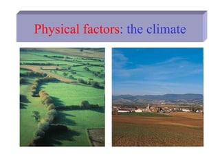 Physical factors: the climate
 