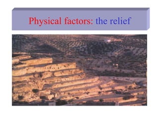 Physical factors: the relief
 