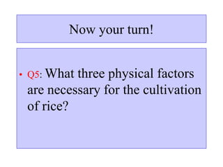 Now your turn!
• Q5: What three physical factors
are necessary for the cultivation
of rice?
 