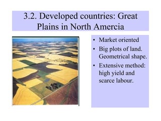 3.2. Developed countries: Great
Plains in North Amercia
• Market oriented
• Big plots of land.
Geometrical shape.
• Extensive method:
high yield and
scarce labour.
 