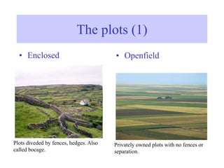 The plots (1)
• Enclosed • Openfield
Privately owned plots with no fences or
separation.
Plots diveded by fences, hedges. Also
called bocage.
 