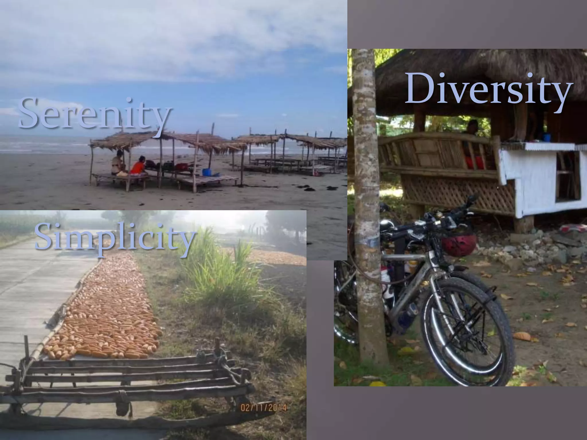 Serenity
Diversity
Simplicity