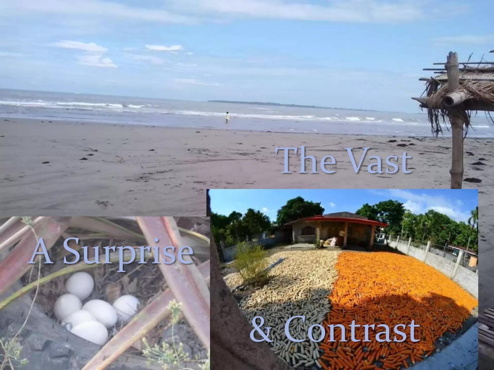 The Vast
& Contrast
A Surprise