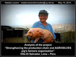 Analysis of the project
“Strengthening the production chain and AGROSILVES
pig's farmers organisation”
Villa El Salvador, Lima – Peru
Natalia Lozano natalia.lozanobroncales@uq.net.au May 15, 2014Picture:LuisChavarria(2009)
 