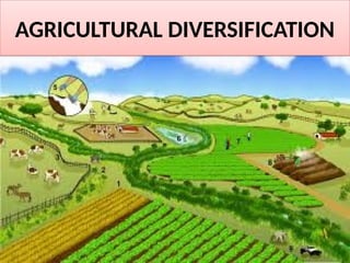 AGRICULTURAL DIVERSIFICATION
 