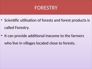 FORESTRY
• Scientific utilisation of forests and forest products is
called Forestry.
• It can provide additional inxcome to the farmers
who live in villages located close to forests.
 