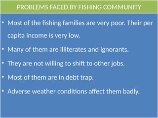 PROBLEMS FACED BY FISHING COMMUNITY
• Most of the fishing families are very poor. Their per
capita income is very low.
• Many of them are illiterates and ignorants.
• They are not willing to shift to other jobs.
• Most of them are in debt trap.
• Adverse weather conditions affect them badly.
 