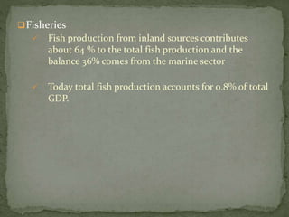 Fisheries
 Fish production from inland sources contributes
about 64 % to the total fish production and the
balance 36% comes from the marine sector
 Today total fish production accounts for 0.8% of total
GDP.
 