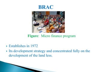 Figure: Micro finance program
 Establishes in 1972
 Its development strategy and concentrated fully on the
development of the land less.
BRAC
 