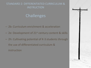 2b: Curriculum enrichment & acceleration 2e: Development of 21 st  century content & skills 2h: Cultivating potential of K-3 students through the use of differentiated curriculum & instruction STANDARD 2: DIFFERENTIATED CURRICULUM & INSTRUCTION   Challenges 