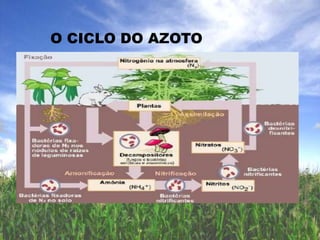 TECNOLOGIATipo ITipo II                      QUATRO EQUIPAMENTOS UTILIZADOS NA AGRICULTURA
