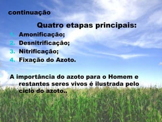         TRACTOR DE RASTOSA utilização deste tipo de equipamento torna estes tractores particularmente indicados para trabalhos de engenharia, ou seja, operações de nivelamento, escavações, carregamento, etc., ou trabalhos agrícolas como, por exemplo, construção de patamares, limpeza de matos, etc.