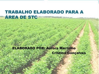 Nivelamento do terreno;