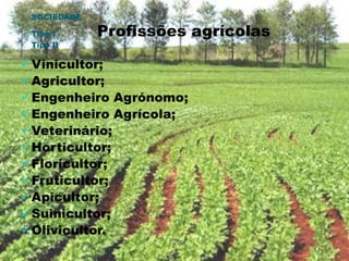  SOCIEDADE   Tipo I                Profissões agrícolas Tipo IIVinicultor;