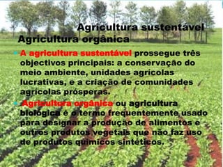 Engenheiro Agrónomo;
