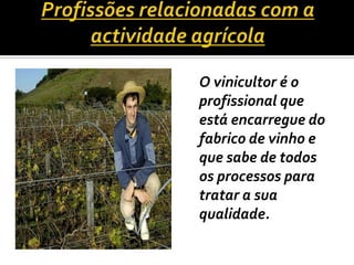 Profissões relacionadas com a actividade agrícolaO vinicultor é o profissional que está encarregue do fabrico de vinho e que sabe de todos os processos para tratar a sua qualidade.