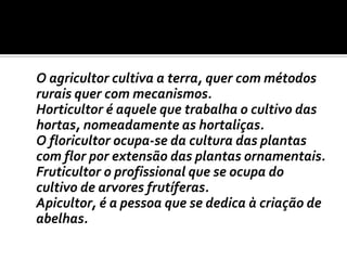 	O agricultor cultiva a terra, quer com métodos rurais quer com mecanismos.	Horticultor é aquele que trabalha o cultivo das hortas, nomeadamente as hortaliças.	O floricultor ocupa-se da cultura das plantas com flor por extensão das plantas ornamentais.	Fruticultor o profissional que se ocupa do cultivo de arvores frutíferas.	Apicultor, é a pessoa que se dedica à criação de abelhas.