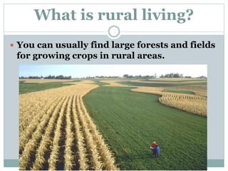 What is rural living?
 You can usually find large forests and fields
for growing crops in rural areas.
 