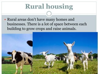 Rural housing
 Rural areas don’t have many homes and
businesses. There is a lot of space between each
building to grow crops and raise animals.
 