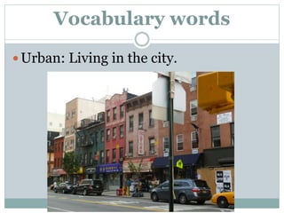 Vocabulary words
 Urban: Living in the city.
 