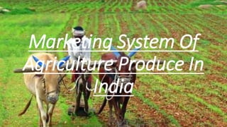 Marketing System Of
Agriculture Produce In
India
 