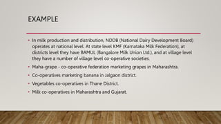 EXAMPLE
• In milk production and distribution, NDDB (National Dairy Development Board)
operates at national level. At state level KMF (Karnataka Milk Federation), at
districts level they have BAMUL (Bangalore Milk Union Ltd.), and at village level
they have a number of village level co-operative societies.
• Maha-grape - co-operative federation marketing grapes in Maharashtra.
• Co-operatives marketing banana in Jalgaon district.
• Vegetables co-operatives in Thane District.
• Milk co-operatives in Maharashtra and Gujarat.
 