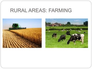 RURAL AREAS: FARMING
 