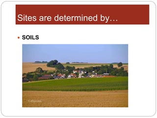  SOILS
Sites are determined by…
 