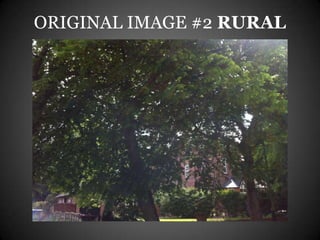ORIGINAL IMAGE #2 RURAL
 