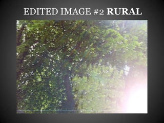 EDITED IMAGE #2 RURAL
 