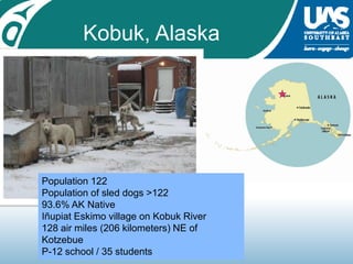 Kobuk, AlaskaPopulation 122Population of sled dogs >12293.6% AK Native Iñupiat Eskimo village on Kobuk River128 air miles (206 kilometers) NE of Kotzebue P-12 school / 35 students